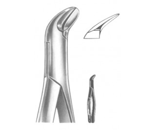 Extracting Forceps American pattern